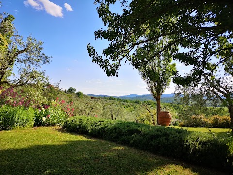 Agriturismo La Vignaccia di Emma Sestini