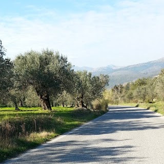 D.ssa Italia Chiariello, Psicologa, Musicoterapeuta Napoli (Vomero)