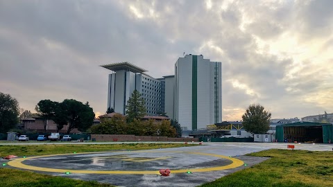 Ospedale Maggiore Carlo Alberto Pizzardi