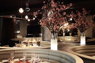 STK Milan