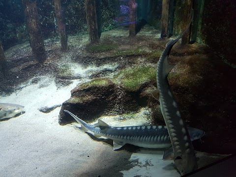 Acquario Civico e Stazione Idrobiologica di Milano