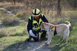 Gruppo Volontari Protezione Civile Albinea