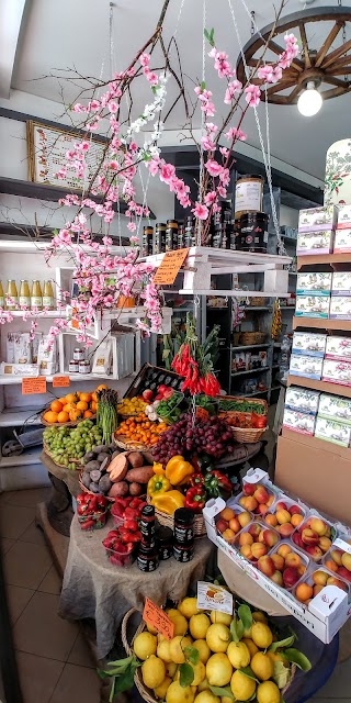 Fiori di zucca