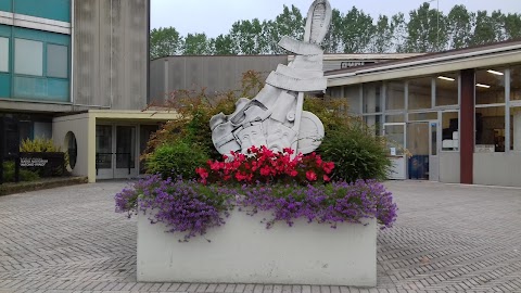 Piscina Comunale di Jesolo