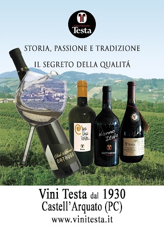 Casa Vinicola Testa