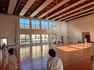 SHIMESU KARATE-DO SHOTOKAN