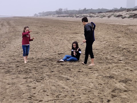 Dune Verdi con percorsi interni