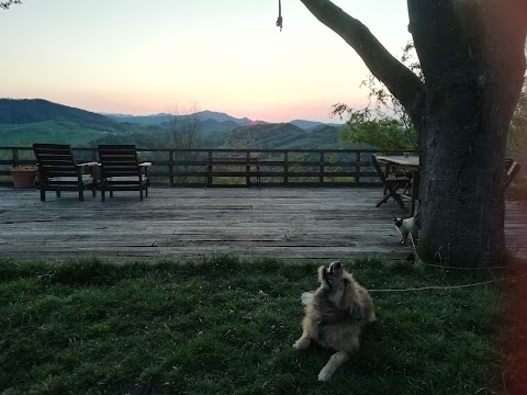 Agriturismo "Monte Genesio"