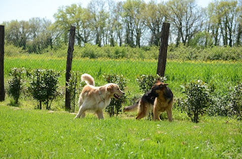 Cocca Pet Village - Centro Cinofilo Siena