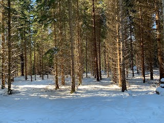 Percorso didattico forestale della val di Nos