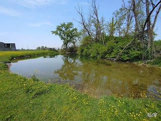 Fontanile di cascina Crosina