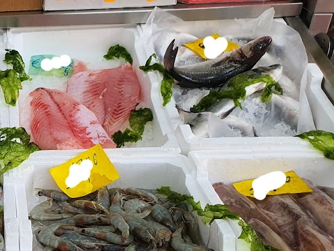 Fish Quality S.R.L.