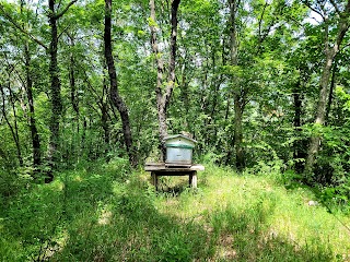 Area Naturalistica Frassineto