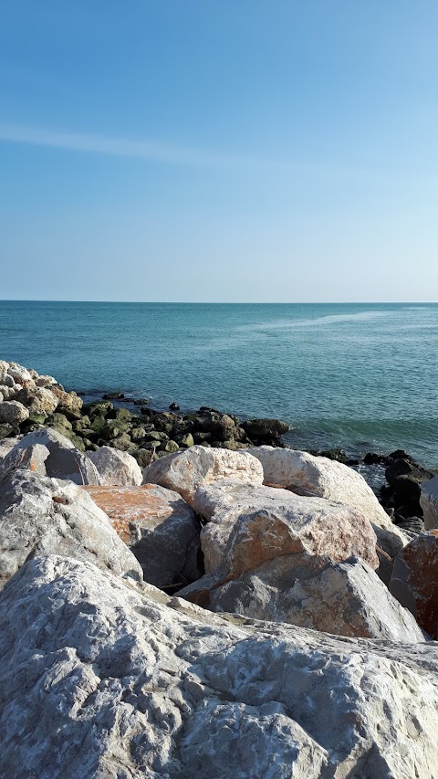 Dune Verdi con percorsi interni