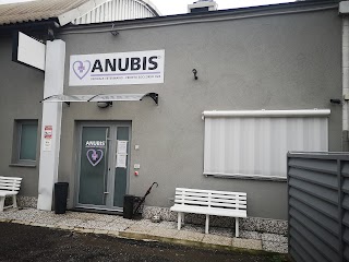 Anubis Ospedale Veterinario