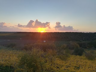 Agriturismo Colle Reale