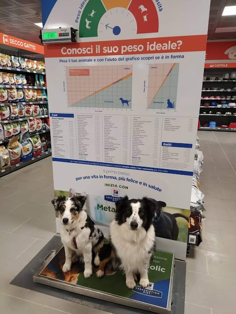 PETSTORE CONAD