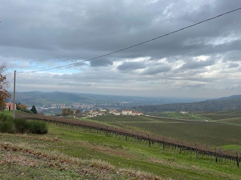 La Cittadella del Vino - Ristorante Osteria Wine Bar