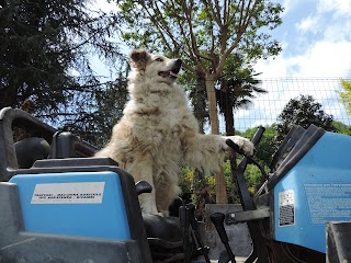 Valerio Cavassa Azienda Agricola