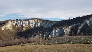 Ente Diocesano Salvezza Educazione Gioventu Edseg