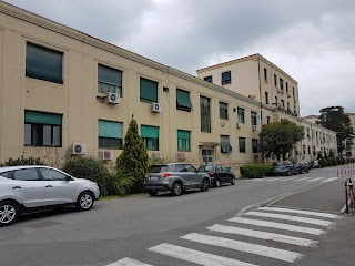 Azienda Ospedaliero Universitaria Careggi