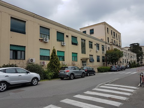 Azienda Ospedaliero Universitaria Careggi