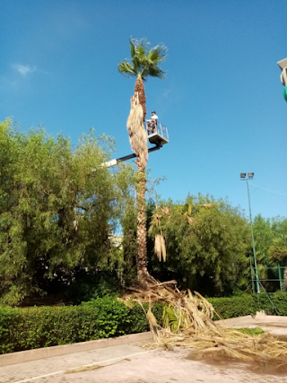 Le Fantasie del Giardiniere di Cassarà Salvatore