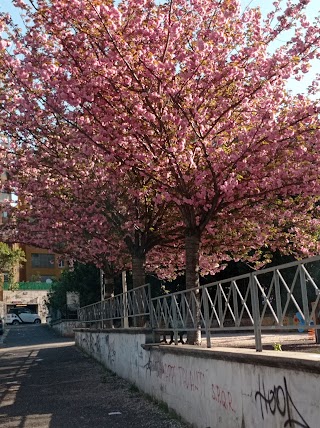 Giardino Alberto Oliva