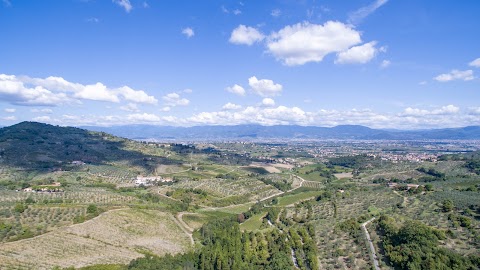 Agriturismo La Fattoria di Capezzana