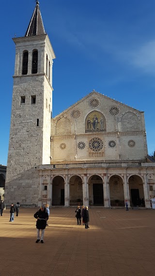 Canil Viaggi S.r.l. - Montebelluna - filiale