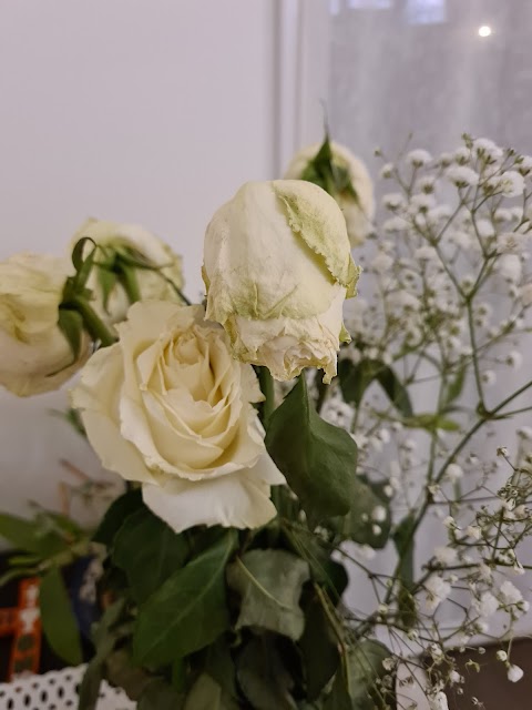 Bianco Viola e Rose