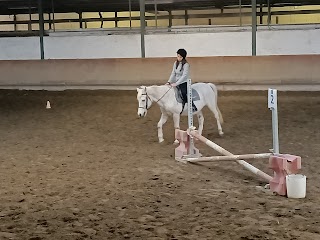 Centro Equitazione Contrada