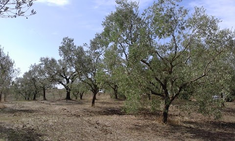 Poderi di Tragliatella - Farmhouse