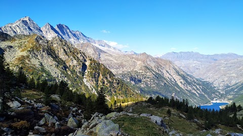 The Walking Bob - Escursioni & Trekking