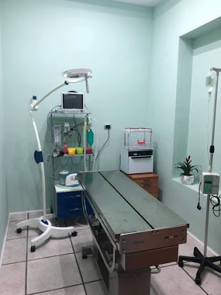 Clinica Veterinaria Vittorio Veneto