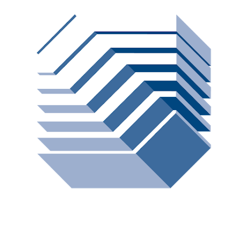 Reiss Romoli