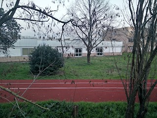 Liceo Scientifico Statale Primo Levi