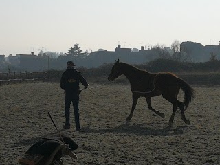 Maneggio Riding Club Mentana