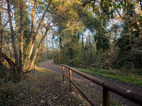 Parco Naturale delle Lame del Sesia