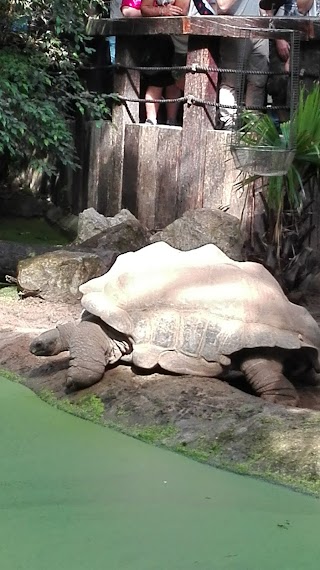 Zoo-Ingros Snc Di Locatelli Giorgio E C.