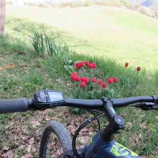 Slow Emotion - Escursioni in E-Bike, Trekking e Noleggio bici in Appennino Bolognese