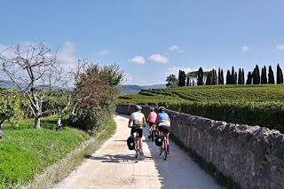 Garda E-Motion - Tour ed esperienze autentiche sul Lago di Garda