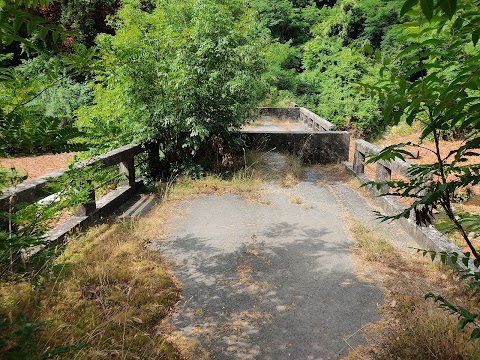 Ponte Abbandonato sull'Ombrone