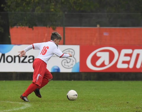 Associazione Calcio Monza