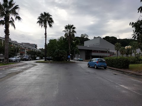 Università degli Studi di Messina