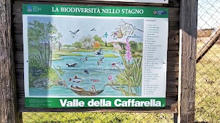 Stagno della Caffarella