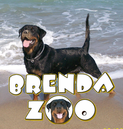 Brenda Zoo