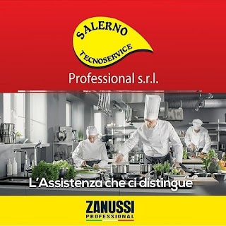 SALERNO TECNOSERVICE PROFESSIONAL SRL