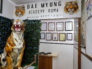 Dae Myung Academy Roma