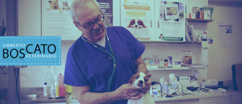 Boscato Dr. Umberto Ambulatorio Veterinario per Cani e Gatti
